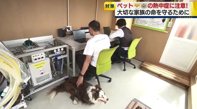 仕事中の川合社長と愛犬