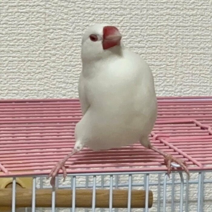 ドーーン