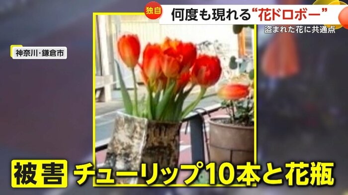 (視聴者撮影)