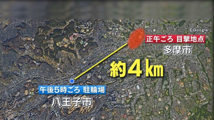 男性が目撃した場所から鹿は約4km移動