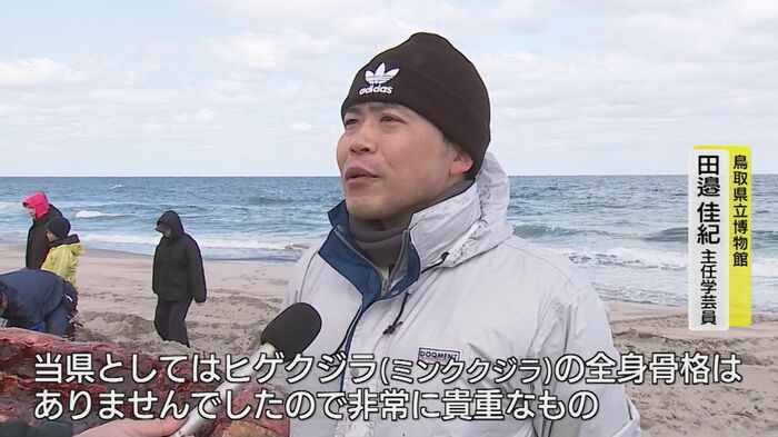鳥取県立博物館の田邉佳紀主任学芸員