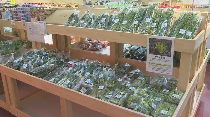 道の駅の山菜売り場 15日