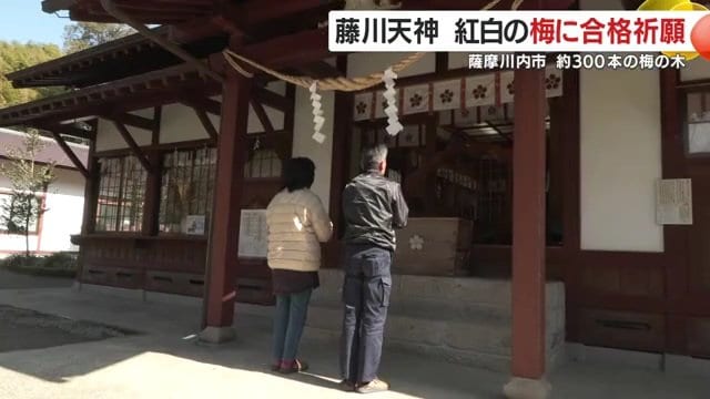 受験シーズンは多くの参拝客が訪れる