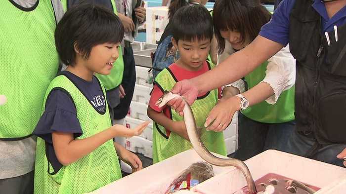 プロじゃなくても魚を買いたい!移転1年で見えてきた豊洲市場の課題と未来