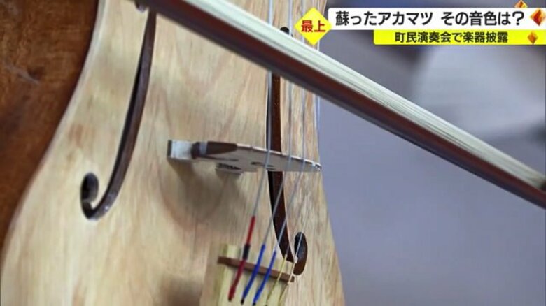 樹齢600年…楽器として蘇った「日本一の大アカマツ」　“町民オーケストラ”で音色披露【山形発】｜FNNプライムオンライン