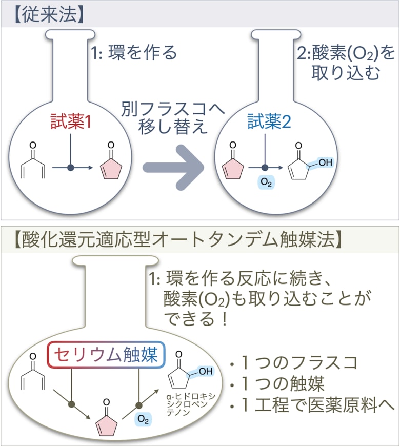 1つの触媒が2つの異なる反応を制御する~化学反応の連続化で医薬品開発を加速~
