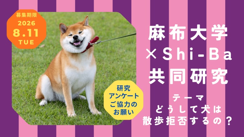【麻布大学×Shi-Ba 共同研究スタート！】《どうして犬は散歩拒否するの？》研究アンケートにご協力いただける方を募集中