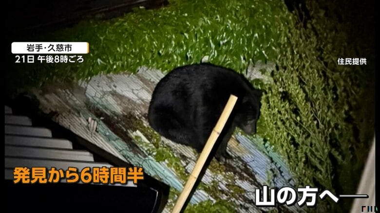 「くわえて食べたみたい」飼い猫襲うクマ 屋根の上に6時間半居座り サファリパーク周辺に出没 クマよけスプレー不足の懸念も|FNNプライムオンライン