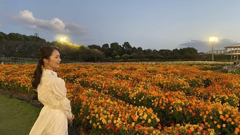 咲き誇る150万本のコスモス… 「なばなの里」でライトアップ始まる 美しく撮影するには“花と同じ高さで”｜FNNプライムオンライン