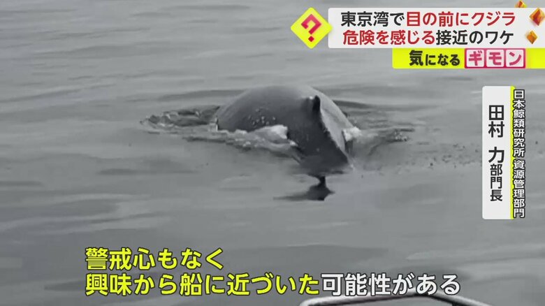 (画像:ビデオポスト(視聴者投稿映像)より)