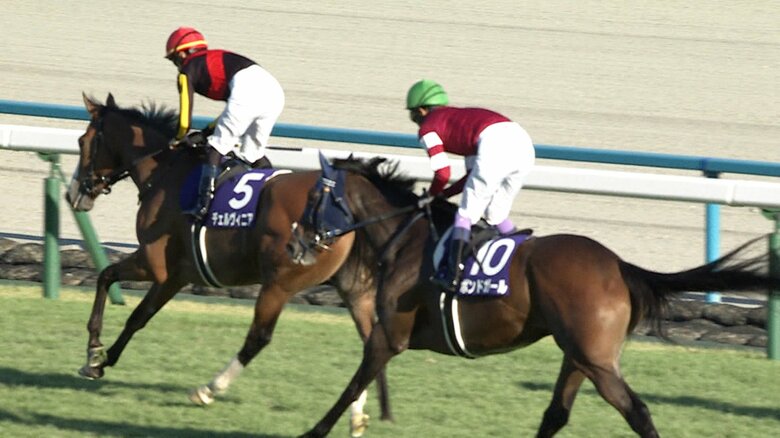 24年秋華賞・GI 2着のボンドガール