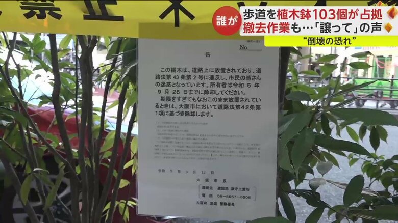 長らく放置されていたが、持ち主が不明だと判明