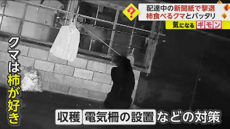 秋田市の住宅で撮影された、物干しざおの干し柿を食べるクマ