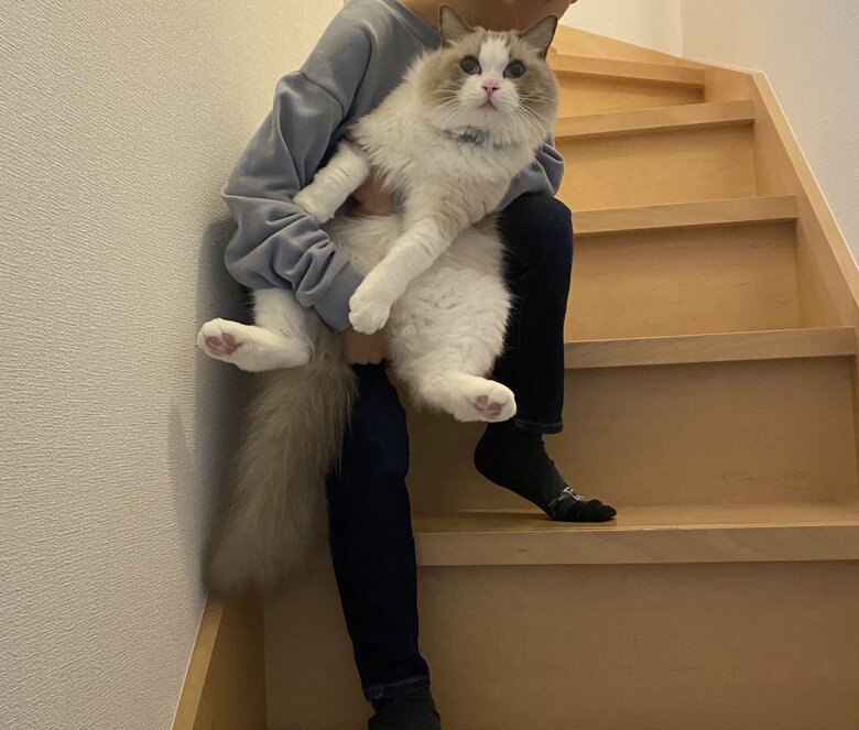 抱えられて階段をおりてきたり