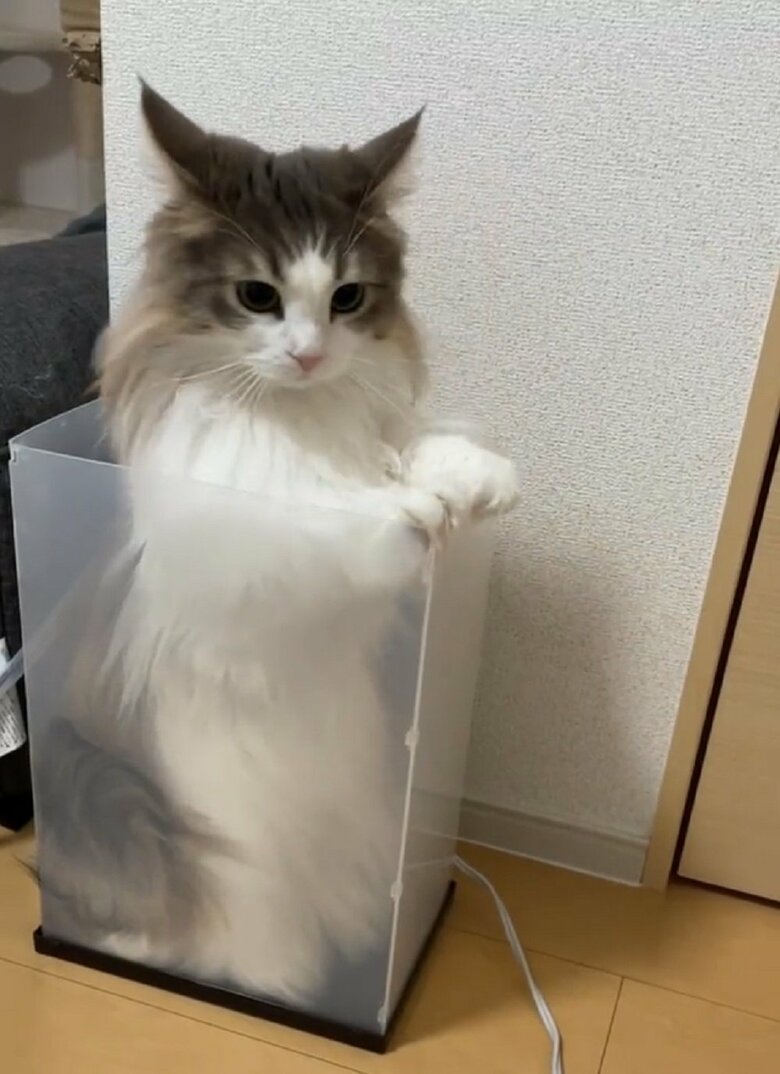 脱出の一部始終。脱出を決意