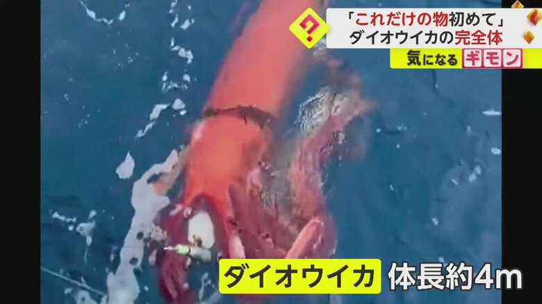 （漁師 小杉優さん撮影）