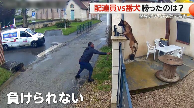 配達員が宅配ボックスに近づいたことに気づき、ジャンプして威嚇する番犬