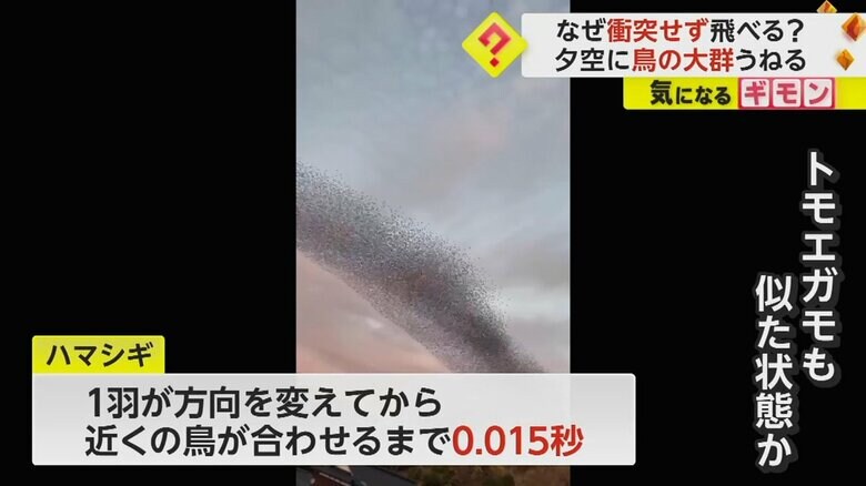 （宮崎さん撮影）