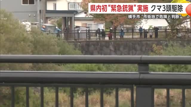 22日午後2時45分ごろ、緊急銃猟が行われた