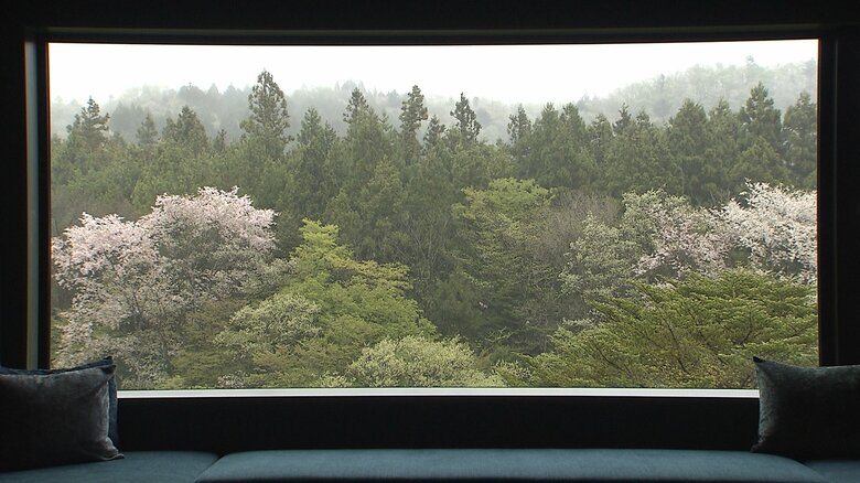 客室からの景観は豊かな自然を楽しめる