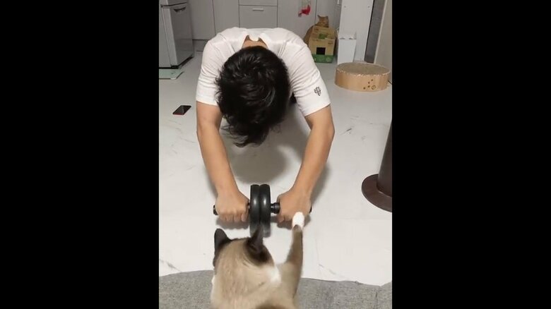 檄を飛ばすたぬきくん　提供：たぬき&とらさん