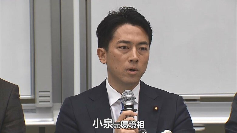 小泉進次郎元環境相もメンバーに
