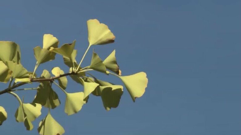 気温の急変に体が悲鳴
