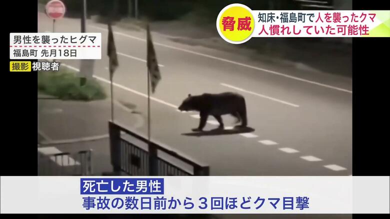 福島町で新聞配達中の男性を襲ったヒグマ（撮影：視聴者）