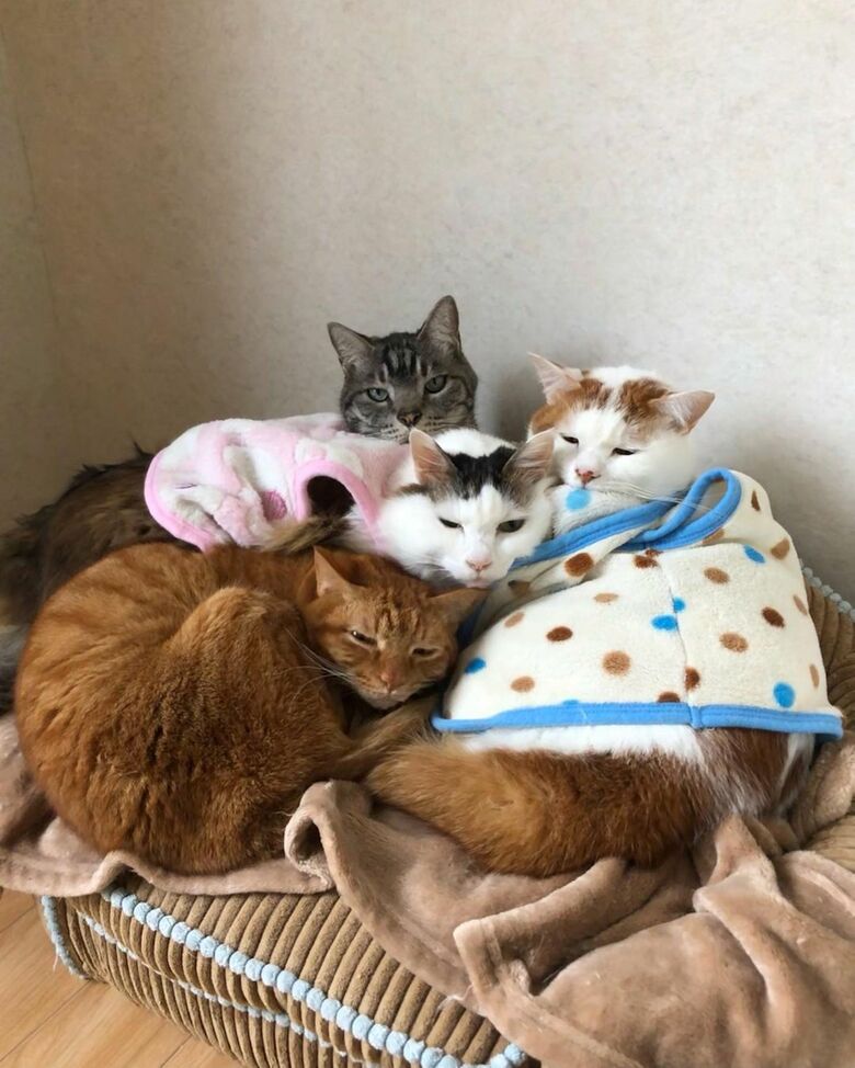 仲良し