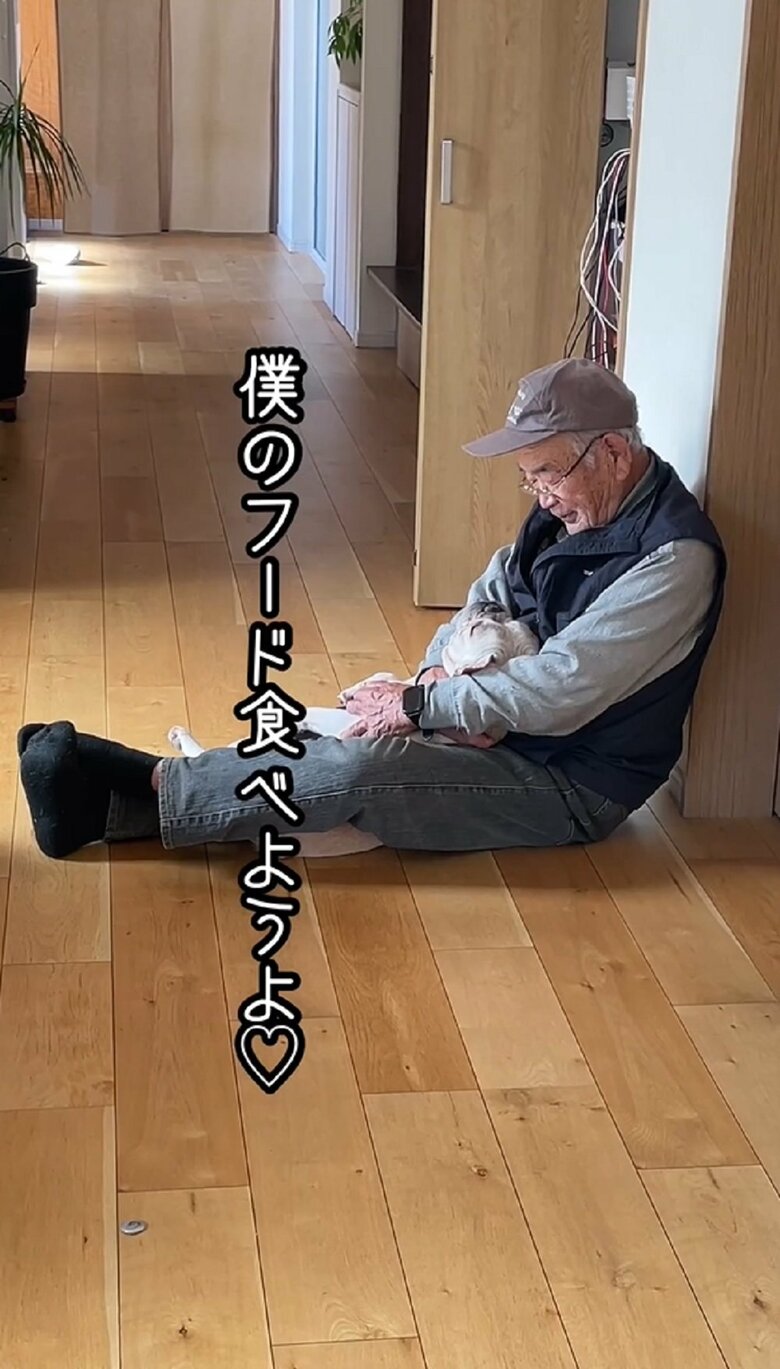 ブン太くん「僕のフード食べようよ」