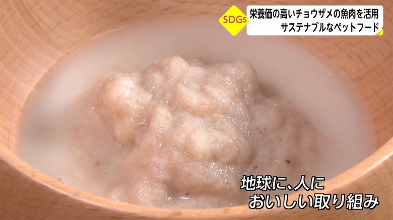 チョウザメ100% こだわりのペットフード