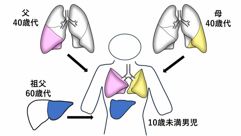 提供：京都大学医学部附属病院
