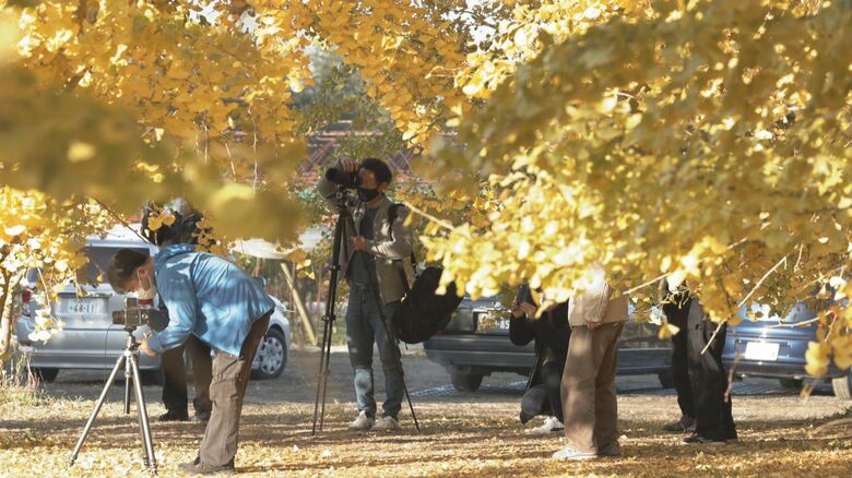 口コミで福岡屈指の紅葉スポットになった