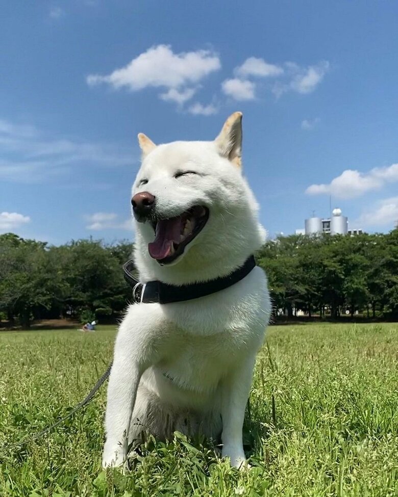 笑顔