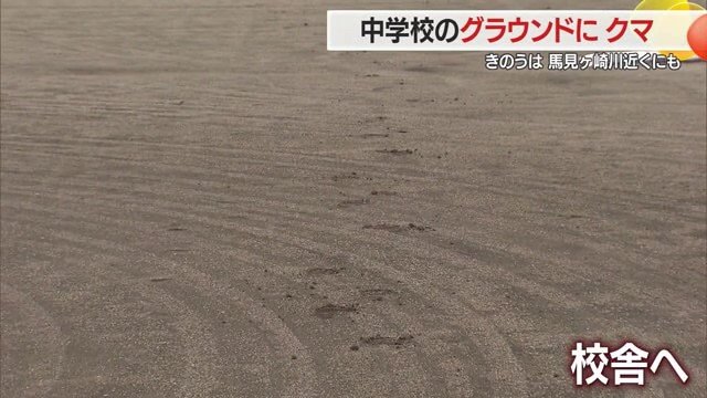 クマが出没した時に、グラウンドに生徒がいたら…と思うと恐ろしい