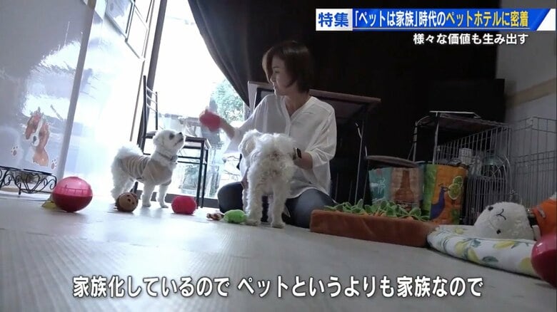 「犬たちの宿 ワンコ亭」代表・松浦三佳さん