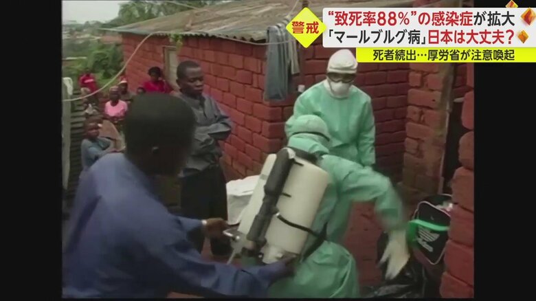 2005年、アンゴラでマールブルグ病が大流行した時の様子