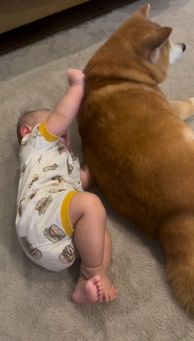 そして、つかんだまま引っ張る！