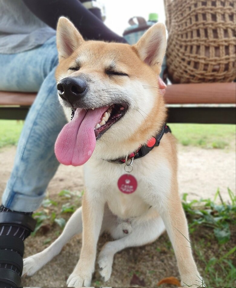 背中をかいてもらって気持ちよさそう