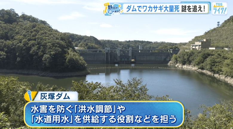「灰塚ダム」広島県三次市三良坂町