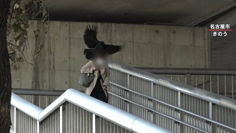 女性の後頭部に蹴り