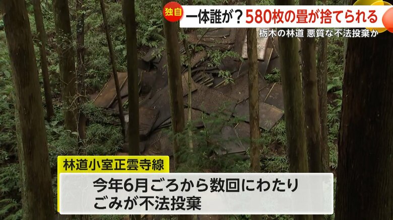 林道で幾重にも折り重なって捨てられていた不法投棄された大量の畳