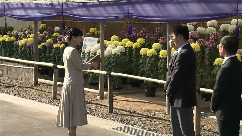 大菊を育てた高校生と交流