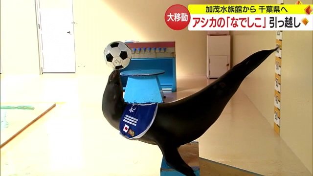 ユニフォームを着て芸を披露