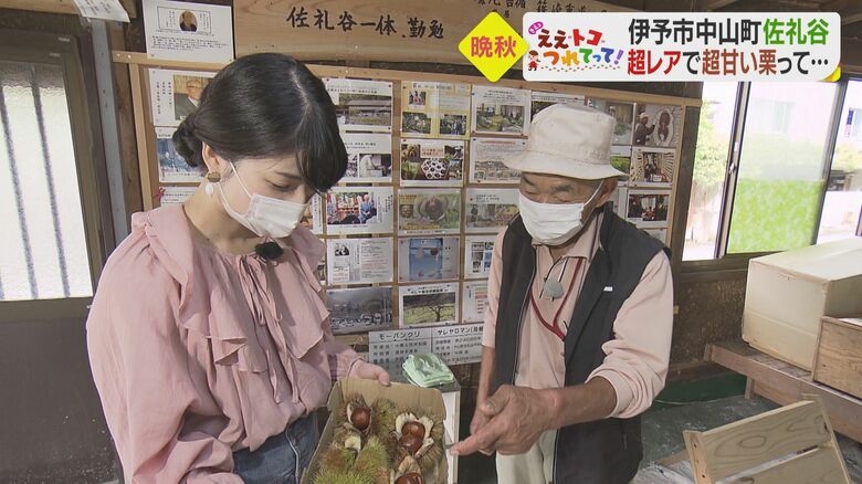 生産組合の組合長も務める