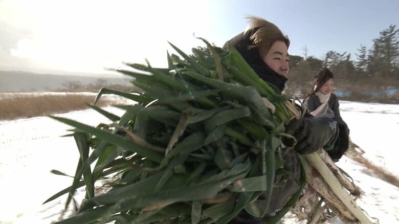 学生たちへの報酬は収穫したばかりの長ネギ