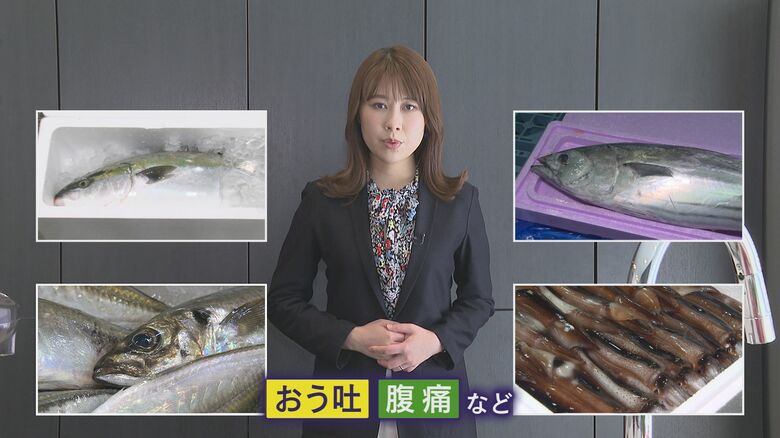 アニサキス食中毒の症状