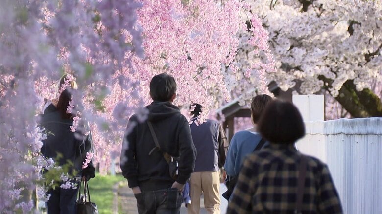 多くの観光客が訪れる名所