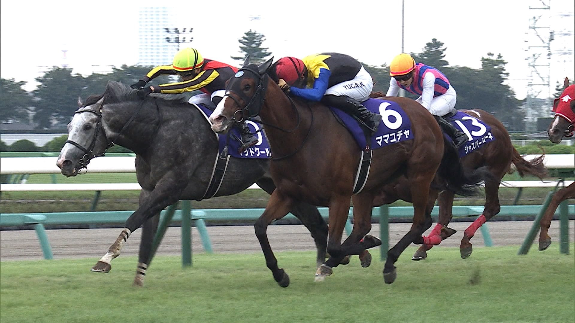 競馬 JRA パンフ 1998 細かい スプリンターズS 有馬記念 [特集トウカイテイオーvsビワハヤヒデ 過去5年