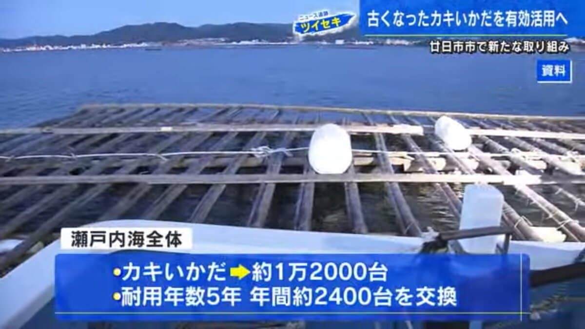 行き場のない古い「牡蠣いかだ」を雑草対策の切り札に 砕いた「いかだチップ」海水の塩分で効果アップ【広島発】｜FNNプライムオンライン